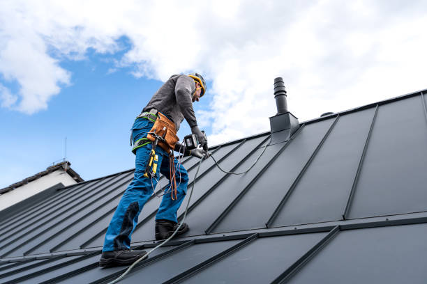 Best Steel Roofing  in West Rancho Dominguez, CA